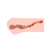 Мастурбатор-вагина Monica без вибрации - KOKOS - в Рыбинске купить с доставкой