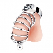 Серебристая клетка для члена Urethral Play Cage - BlueLine - купить с доставкой в Рыбинске