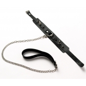 Черный ошейник с шипами и поводком - Crazy Handmade - купить с доставкой в Рыбинске