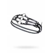 Черный кожаный пояс с кольцами - Pecado - купить с доставкой в Рыбинске