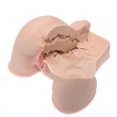 Мастурбатор-полуторс Naked Factory Kate - Naked Factory - в Рыбинске купить с доставкой