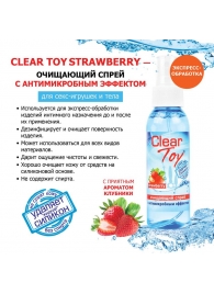 Очищающий спрей для игрушек CLEAR TOY Strawberry - 100 мл. - Биоритм - купить с доставкой в Рыбинске