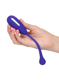 Фиолетовый шарик с электростимуляцией и вибрацией Intimate E-Stimulator Remote Kegel Exerciser - California Exotic Novelties - купить с доставкой в Рыбинске