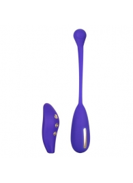 Фиолетовый шарик с электростимуляцией и вибрацией Intimate E-Stimulator Remote Kegel Exerciser - California Exotic Novelties - купить с доставкой в Рыбинске