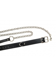 Черный ошейник с поводком Wild - Lola Games - купить с доставкой в Рыбинске