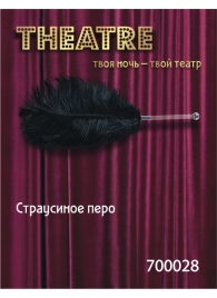 Чёрное страусовое пёрышко - ToyFa - купить с доставкой в Рыбинске