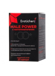 Капсулы для мужчин Erotichard male power с пантогематогеном - 20 капсул (0,370 гр.) - Erotic Hard - купить с доставкой в Рыбинске