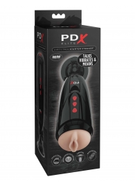 Мастурбатор-вагина с вибрацией Dirty Talk Starter Stroker - Pipedream - в Рыбинске купить с доставкой