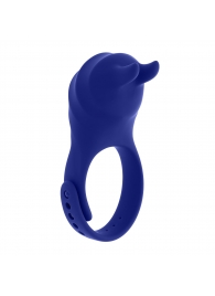 Синее эрекционное виброкольцо с клиторальной подушечкой и пультом ДУ Adjustable Fun Ring - Zero Tolerance - в Рыбинске купить с доставкой