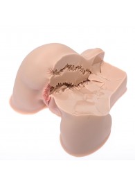 Мастурбатор-полуторс Naked Factory Kate - Naked Factory - в Рыбинске купить с доставкой