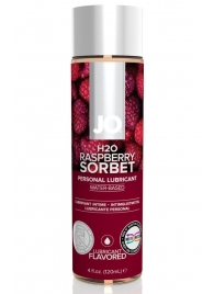 Лубрикант на водной основе с ароматом малины JO Flavored Raspberry Sorbet - 120 мл. - System JO - купить с доставкой в Рыбинске