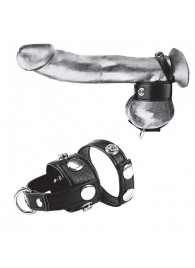 Утяжка для мошонки и пениса Cock Ring With 1  Ball Stretcher And Optional Weight Ring - BlueLine - купить с доставкой в Рыбинске