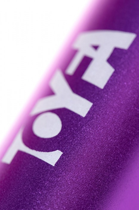 Портативное зарядное устройство A-toys 2400 mAh microUSB - A-toys - купить с доставкой в Рыбинске