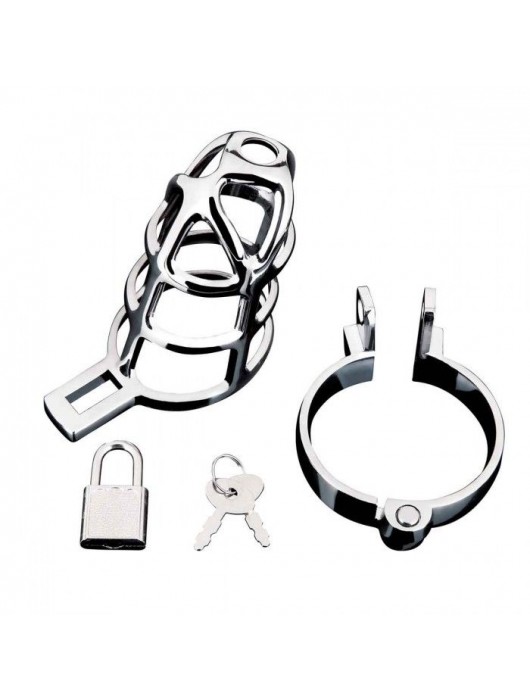 Серебристая металлическая клетка для члена с замком Enslave Cock Cage - BlueLine - купить с доставкой в Рыбинске