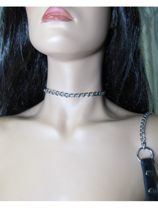 Металлический поводок с кожаной ручкой - БДСМ Арсенал - купить с доставкой в Рыбинске