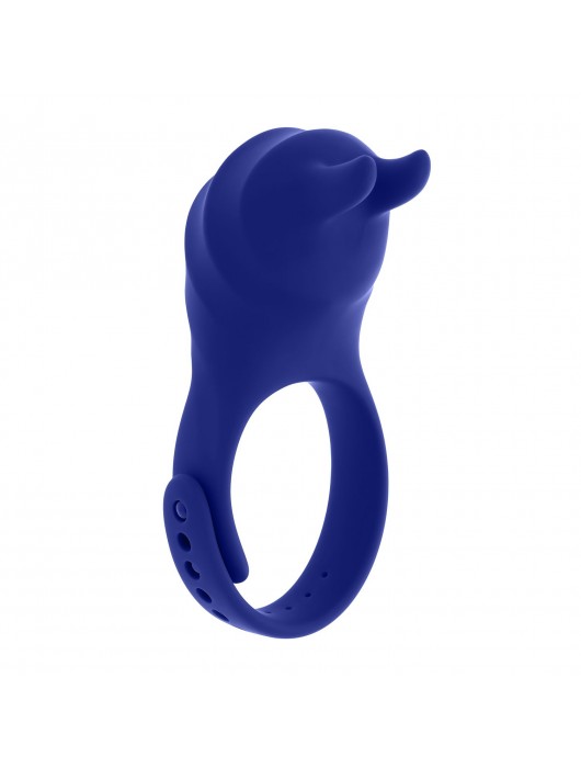 Синее эрекционное виброкольцо с клиторальной подушечкой и пультом ДУ Adjustable Fun Ring - Zero Tolerance - в Рыбинске купить с доставкой