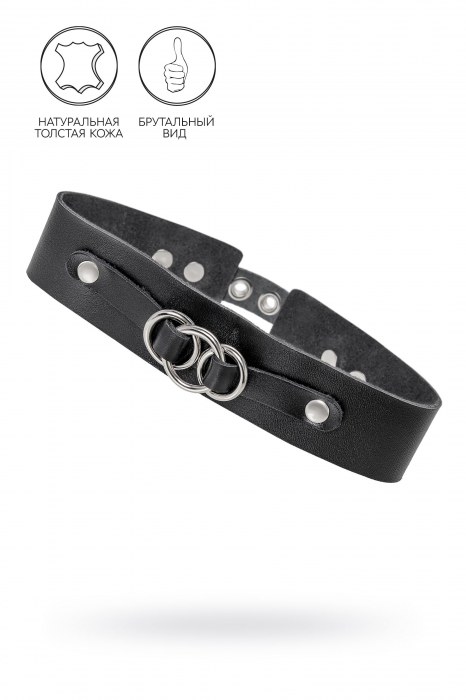 Черный чокер-ошейник со связанными кольцами на подложке - Pecado - купить с доставкой в Рыбинске