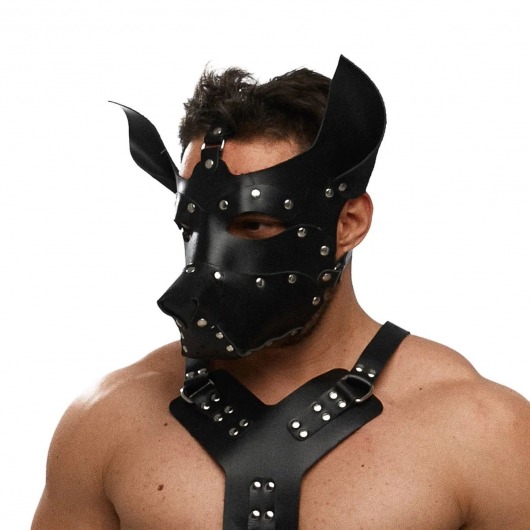 Черная кожаная маска «Собака» - Crazy Handmade - купить с доставкой в Рыбинске