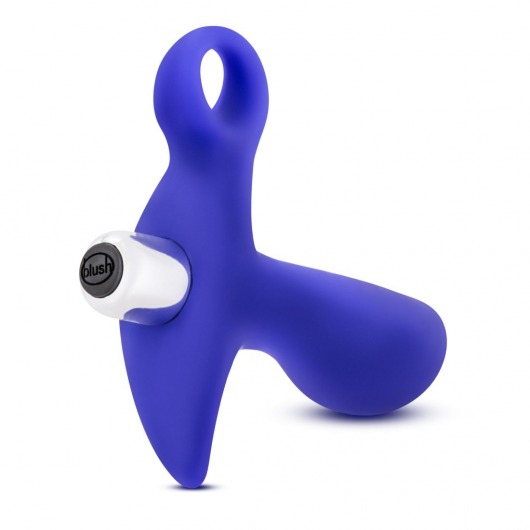 Синий стимулятор простаты с ручкой-кольцом Performance Prostimulator 02 - Blush Novelties - в Рыбинске купить с доставкой