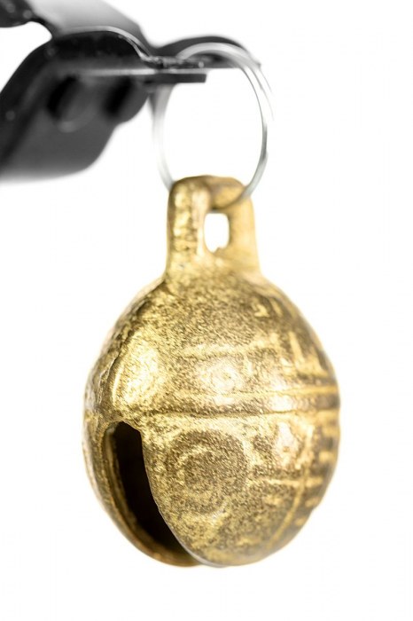 Черно-золотистые зажимы для сосков TOYFA Theatre - ToyFa - купить с доставкой в Рыбинске