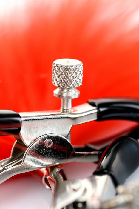 Зажимы для сосков с красным пухом Theatre - ToyFa - купить с доставкой в Рыбинске