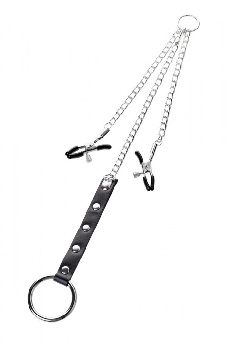 Серебристо-чёрные зажимы для сосков с кольцом для пениса TOYFA Metal - ToyFa - купить с доставкой в Рыбинске