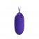 Фиолетовое виброяйцо Berger-Yourth с пультом ДУ - Baile